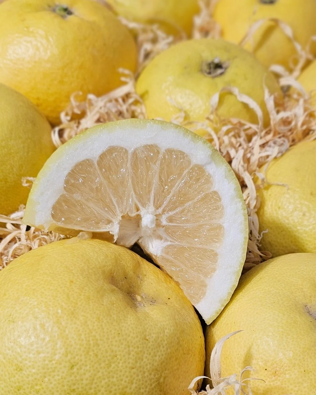 ℙ𝕠𝕞𝕖𝕝𝕠 𝕆𝕣𝕠 𝔹𝕝𝕒𝕟𝕔𝕠
Oro Blanco grapefruit is a new hybrid which is highly favoured for its juicy, sweet flesh without the bitterness commonly associated with other grapefruit varieties. The delicate, sweet flavour of Oro Blanco grapefruit