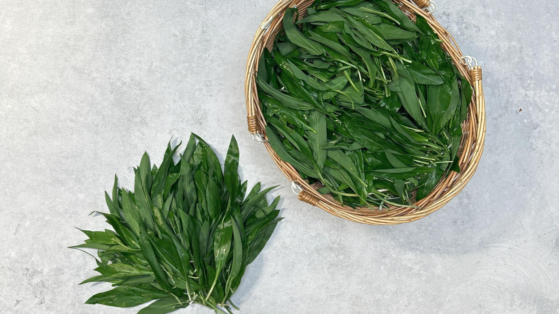 Pick of the week - Wild Garlic
