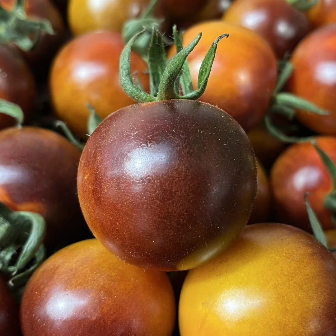 Yoom Tomato🍅
This tomato has a consistent, round to oval look and is small to medium in size, with an average diameter of 5 to 7cm. The tomatoes can be found still attached to the soft olive-green vine, enhancing the overall aroma with a fresh scent