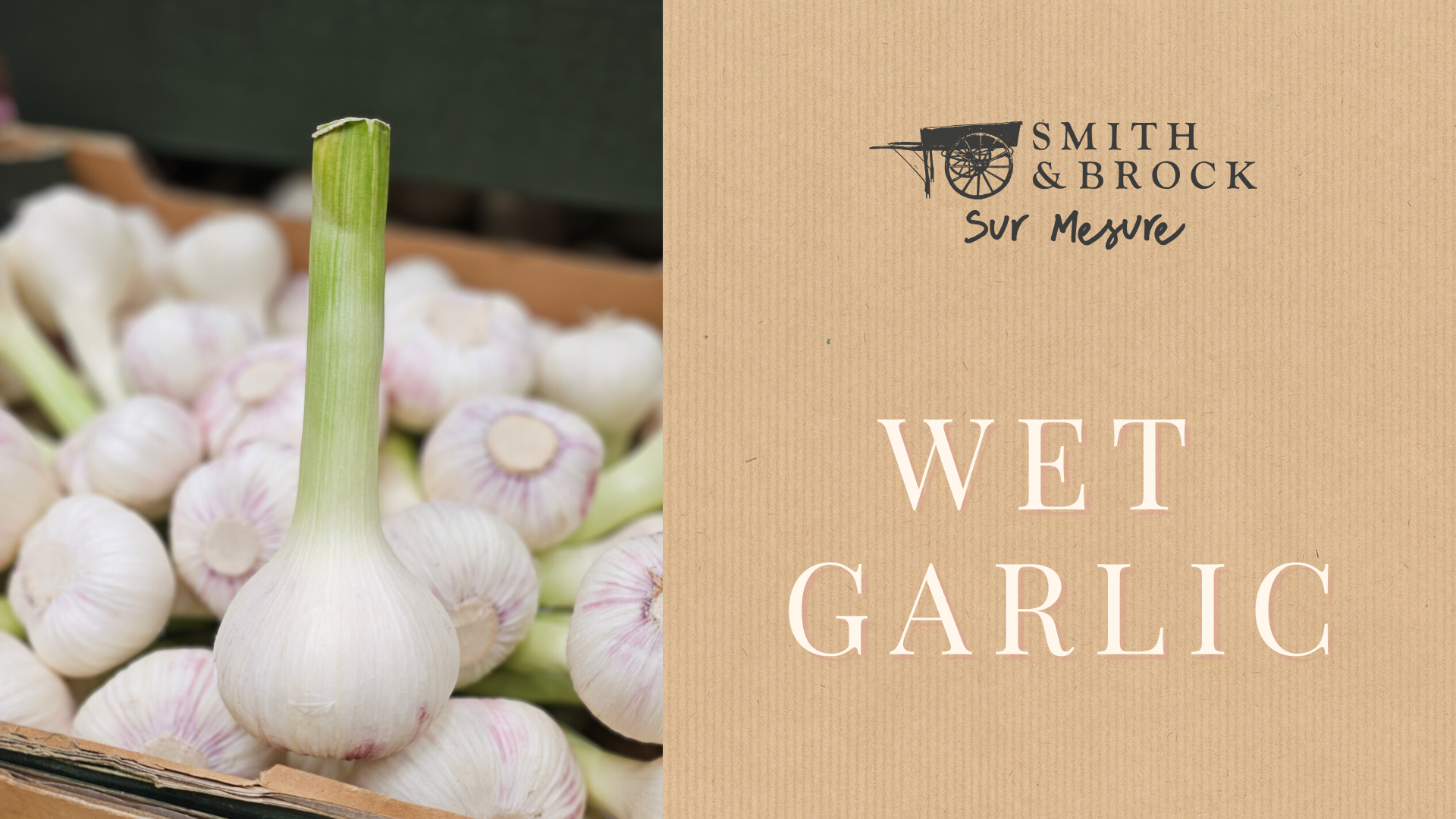 Wet Garlic 🧄