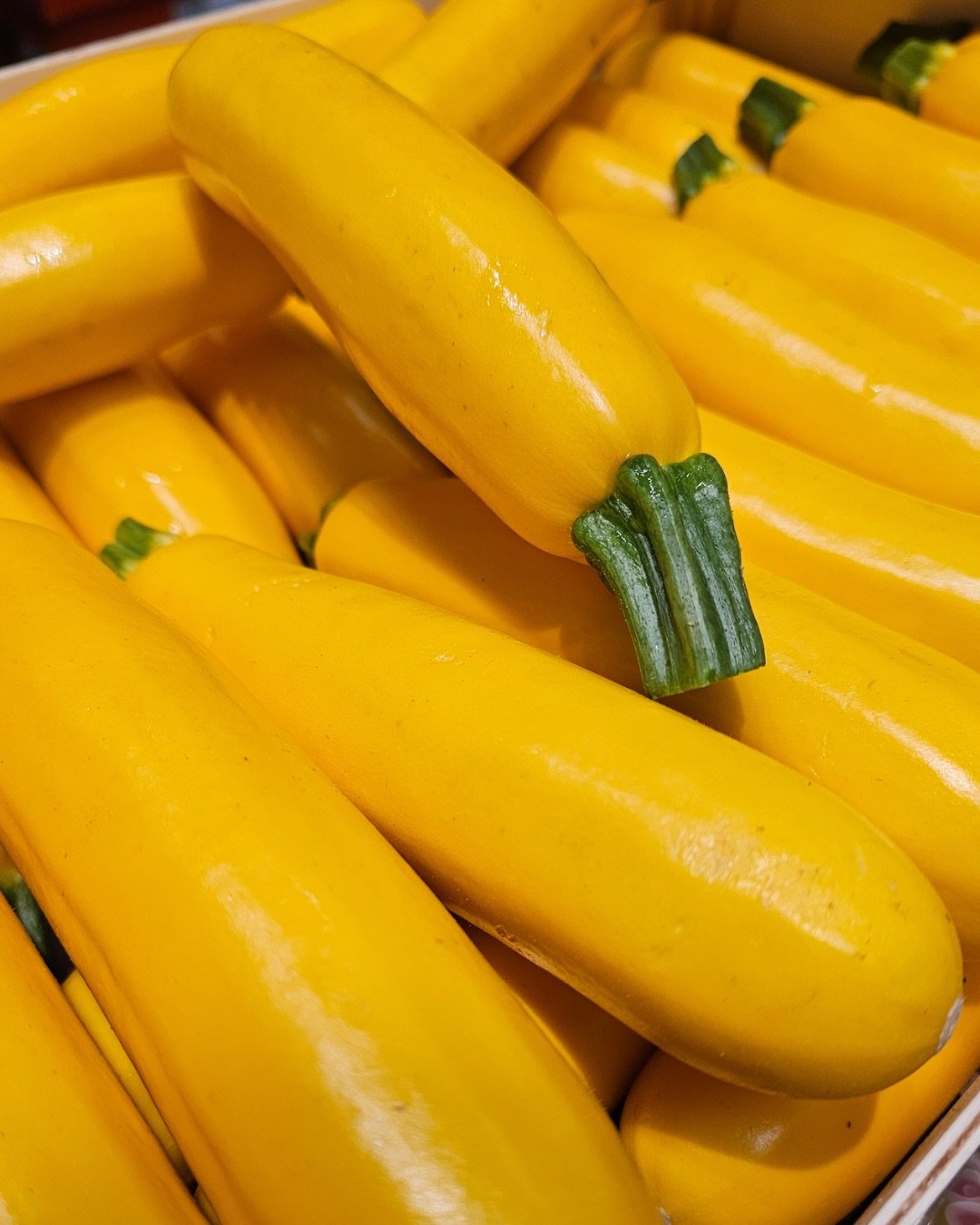 Oustalet Courgette
🇫🇷The Josuan family has been producing courgettes for more than 20 years at the L&rsquo;Oustalet farm in Mouri&egrave;s, which is situated at the base of the Alpilles mountains. Above all, L&rsquo;Oustalet, which translates to &l