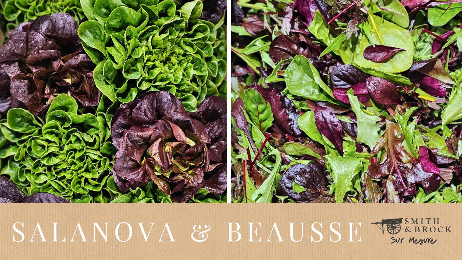 Salanova and Beausse 🥬