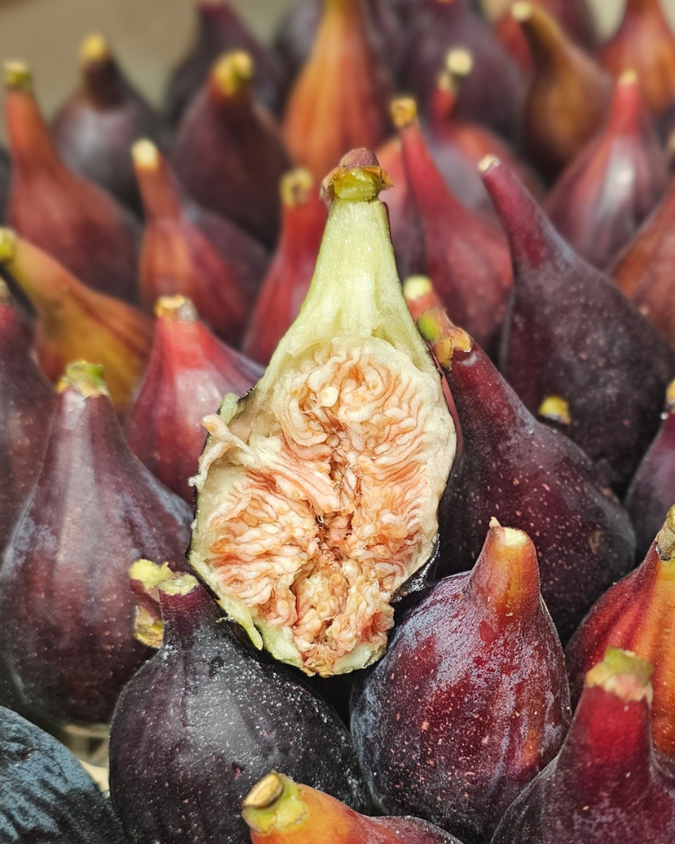 Black Fig🖤
Sometimes referred to as the Black Mission or by its original Spanish name, De la Reina, it is a highly valued fruit with a rich, honey-sweet, strawberry-pink interior and dark mahogany exterior.

The Spanish season always has a little ga