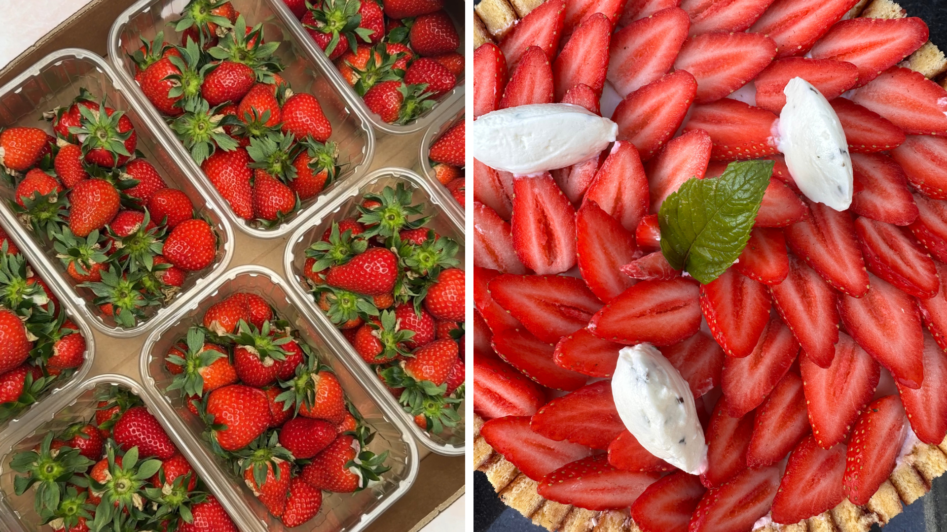 Fraisier Cake🍓