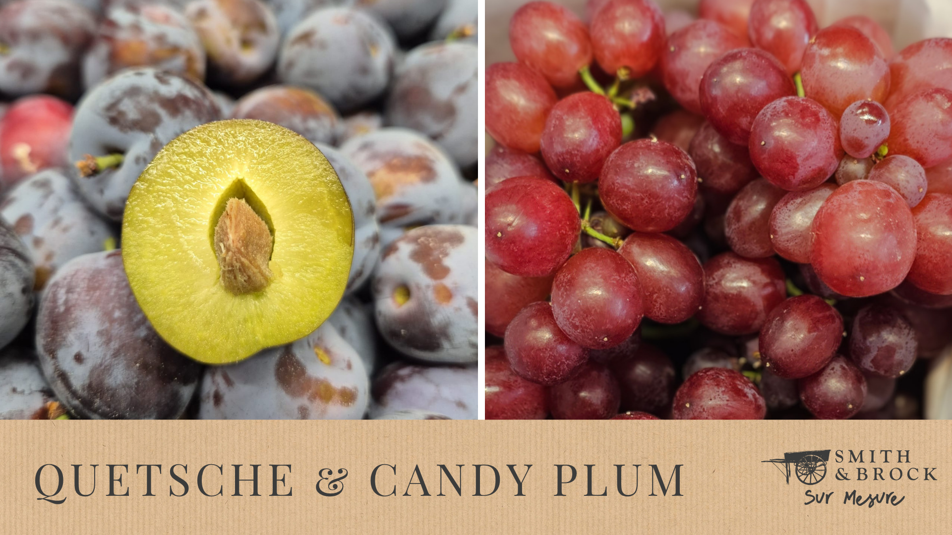 Quetsche &amp; Candy Grape🍇