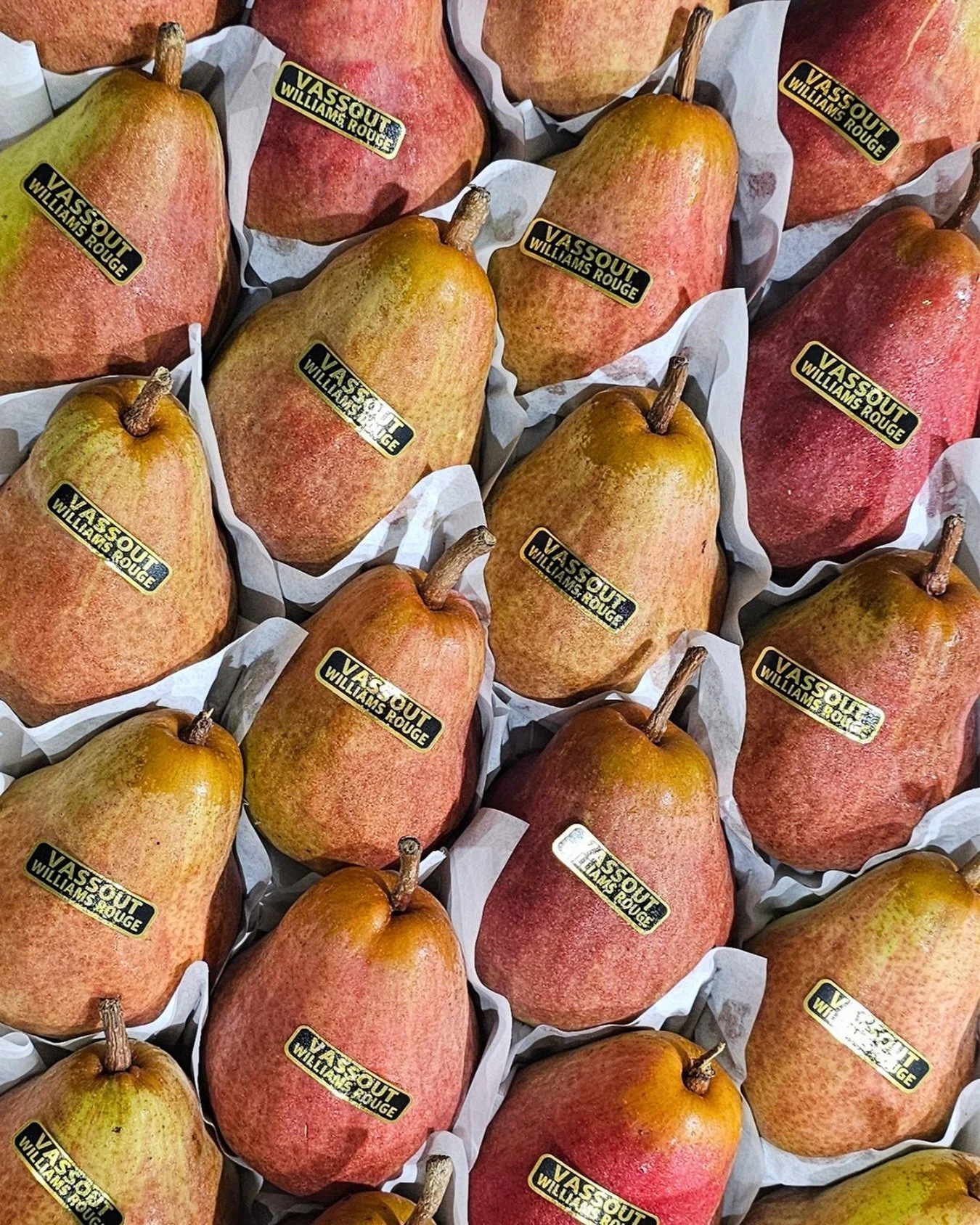 ℝ𝕖𝕕 𝕎𝕚𝕝𝕝𝕚𝕒𝕞 ℙ𝕖𝕒𝕣 ❤️
Fabien Vassout is a local Parisian grower whom our buyer in France, Robin, has worked with for over 30 years! The team&rsquo;s attention to detail; trimming the trees twice a year- results in beautiful, unblemished fru