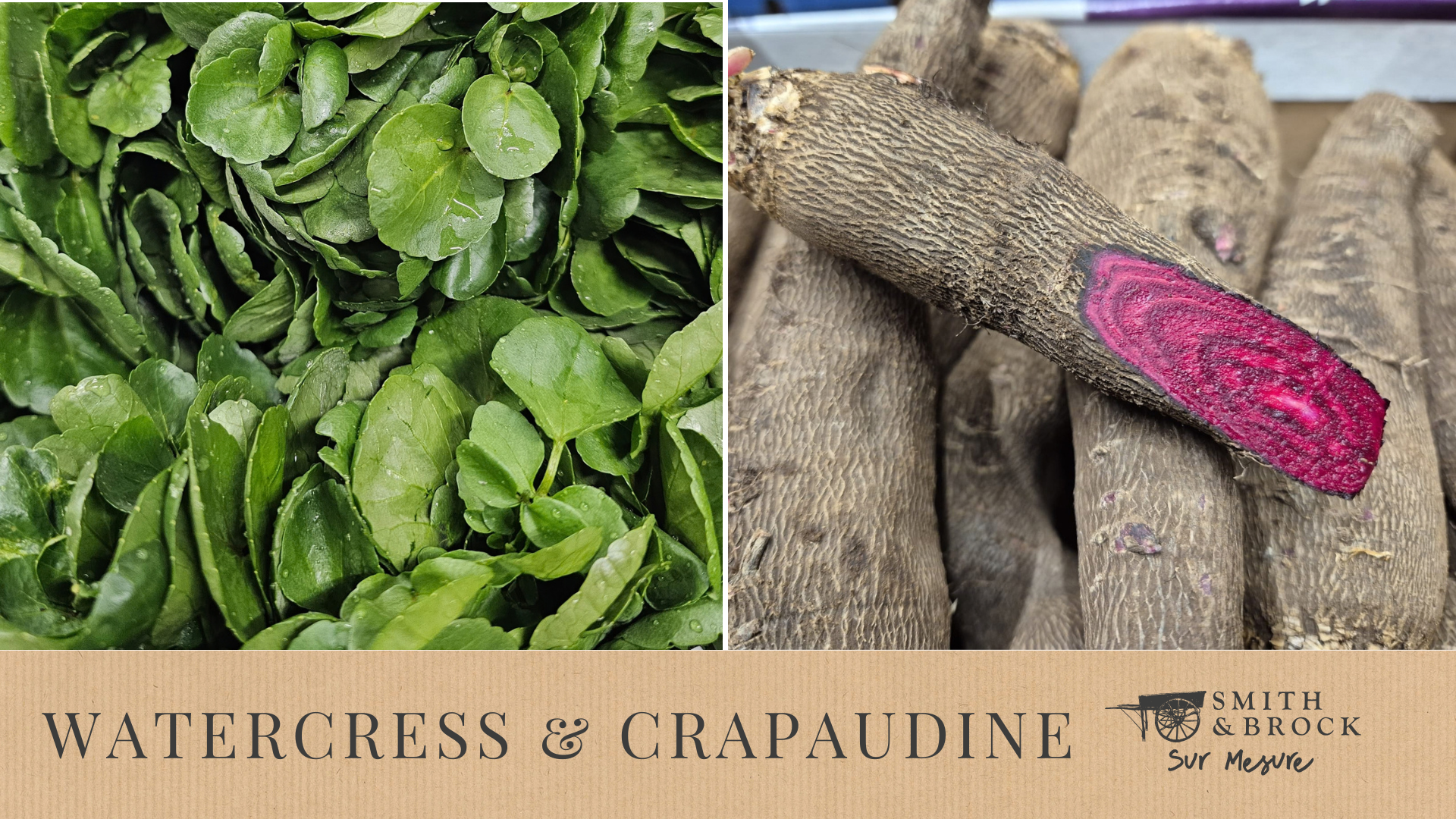 Watercress &amp; Crapaudine 🥬💜