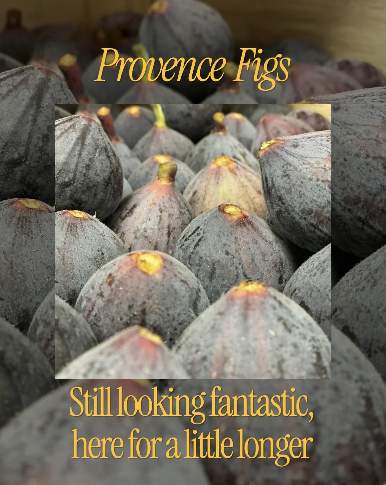 𝐏𝐫𝐨𝐯𝐞𝐧𝐜𝐞 𝐅𝐢𝐠𝐬 
Good news for fig lovers!
We&rsquo;re being told the Provence fig season should keep going for another three weeks, possibly right through to the end of October. 

They&rsquo;re looking fantastic and eating beautifully, so 