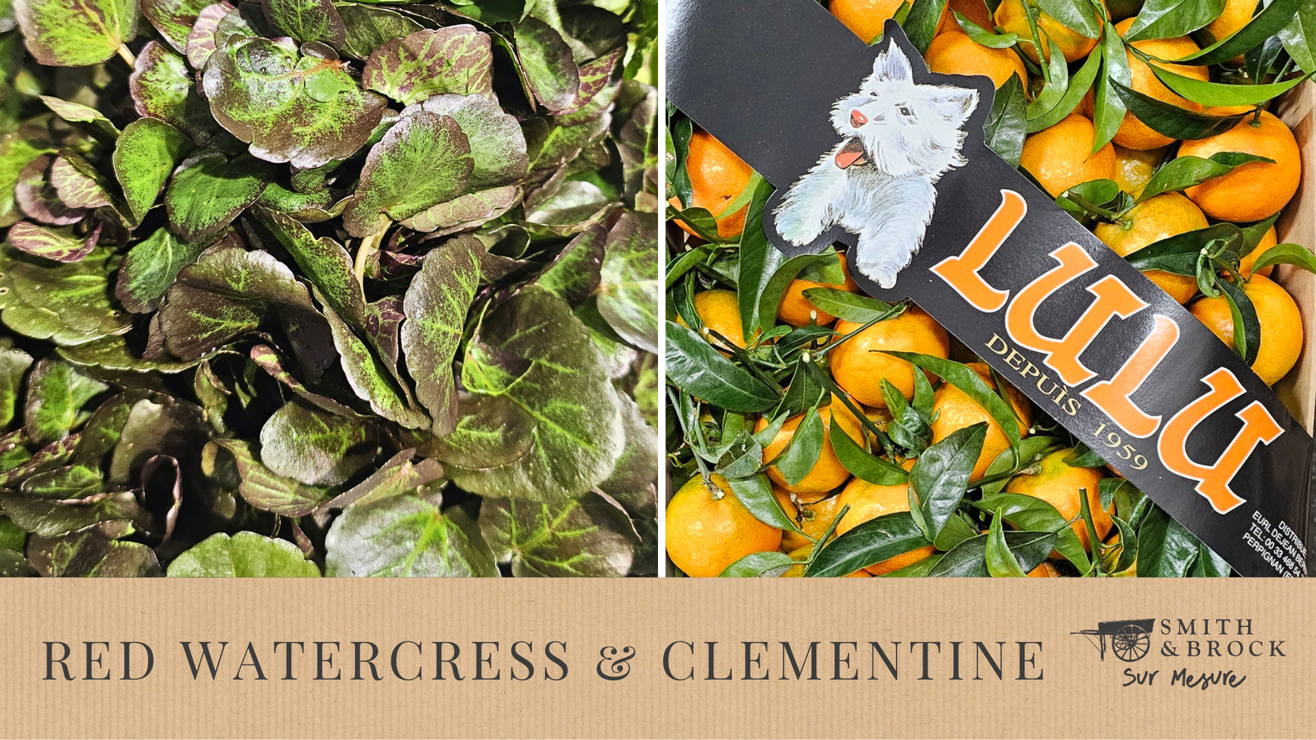 Red Watercress &amp; Clementine 🥬🍊