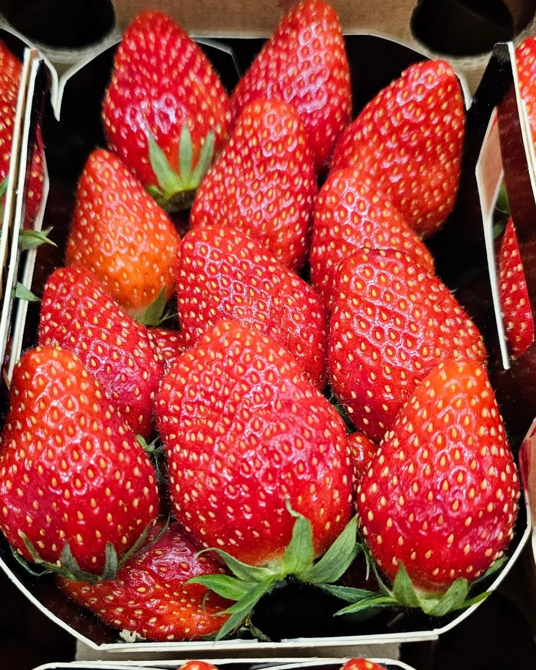 𝔾𝕒𝕣𝕚𝕘𝕦𝕖𝕥𝕥𝕖
This distinct strawberry, with its slightly acidic flavour, is back from the Marmandise growers.
.
.
.
.
.
#whatsnew #smithandbrock #updates #seasonality

𝕆𝕣𝕒𝕟𝕘𝕖
The beginning of the European season with early Newhall arriv