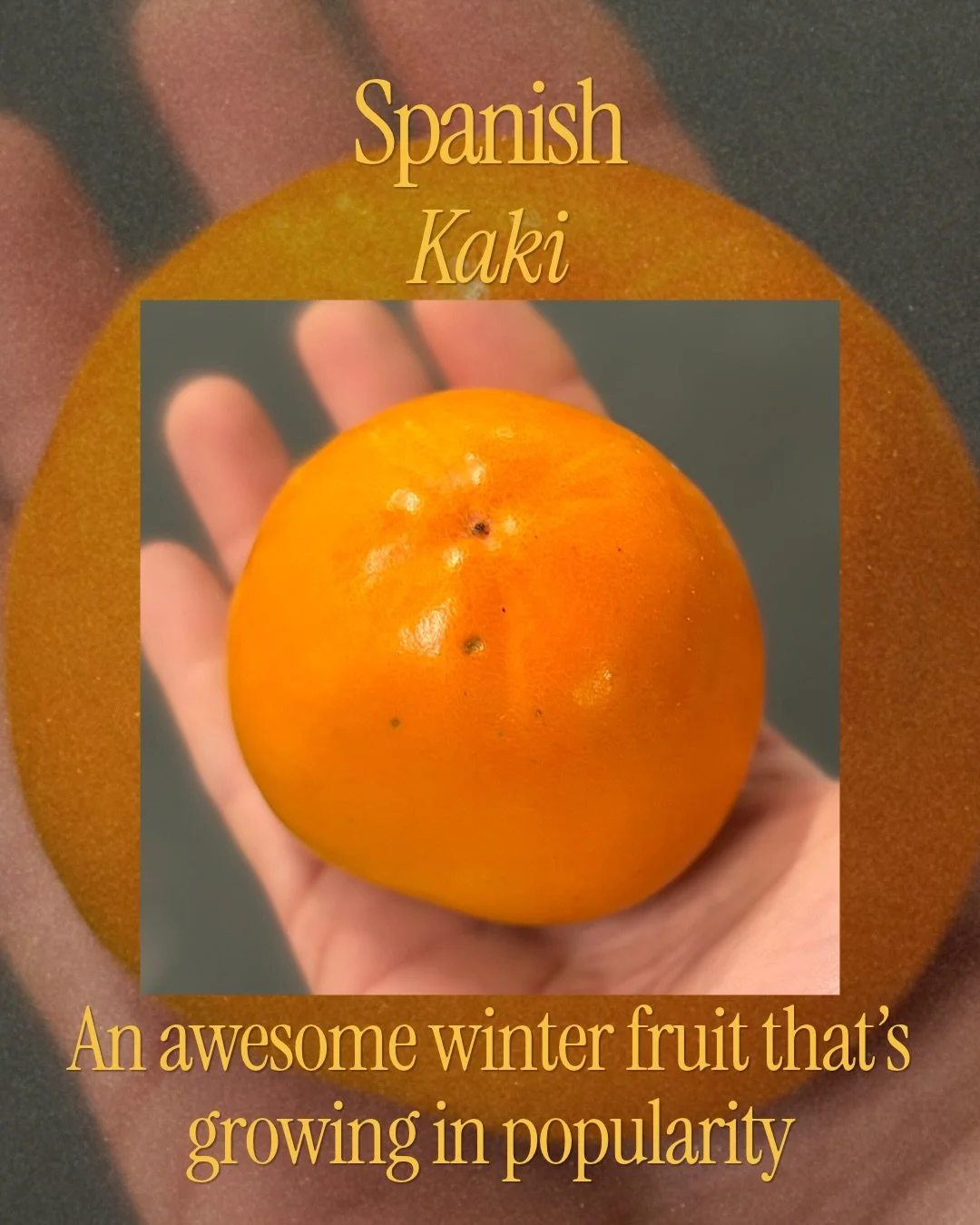 𝐊𝐚𝐤𝐢🧡
An awesome winter fruit that&rsquo;s still underestimated in my opinion, but growing in popularity year on year. Best enjoyed when super soft, bringing out its delicious sweetness and flavour.
.
.
.
.
.
#whatsnew #smithandbrock #upda