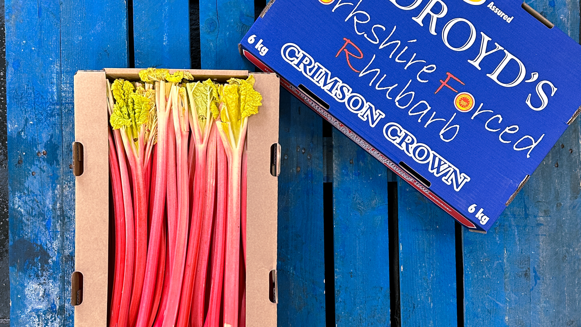 Yorkshire Forced Rhubarb has arrived β Smith & Brock β Smith & Brock