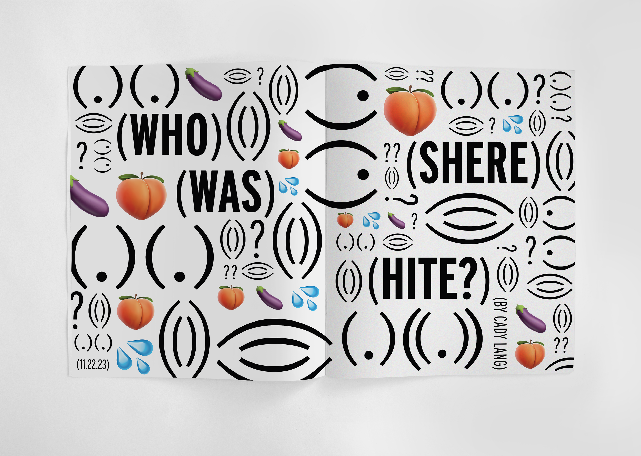 wwsh mockup1.png