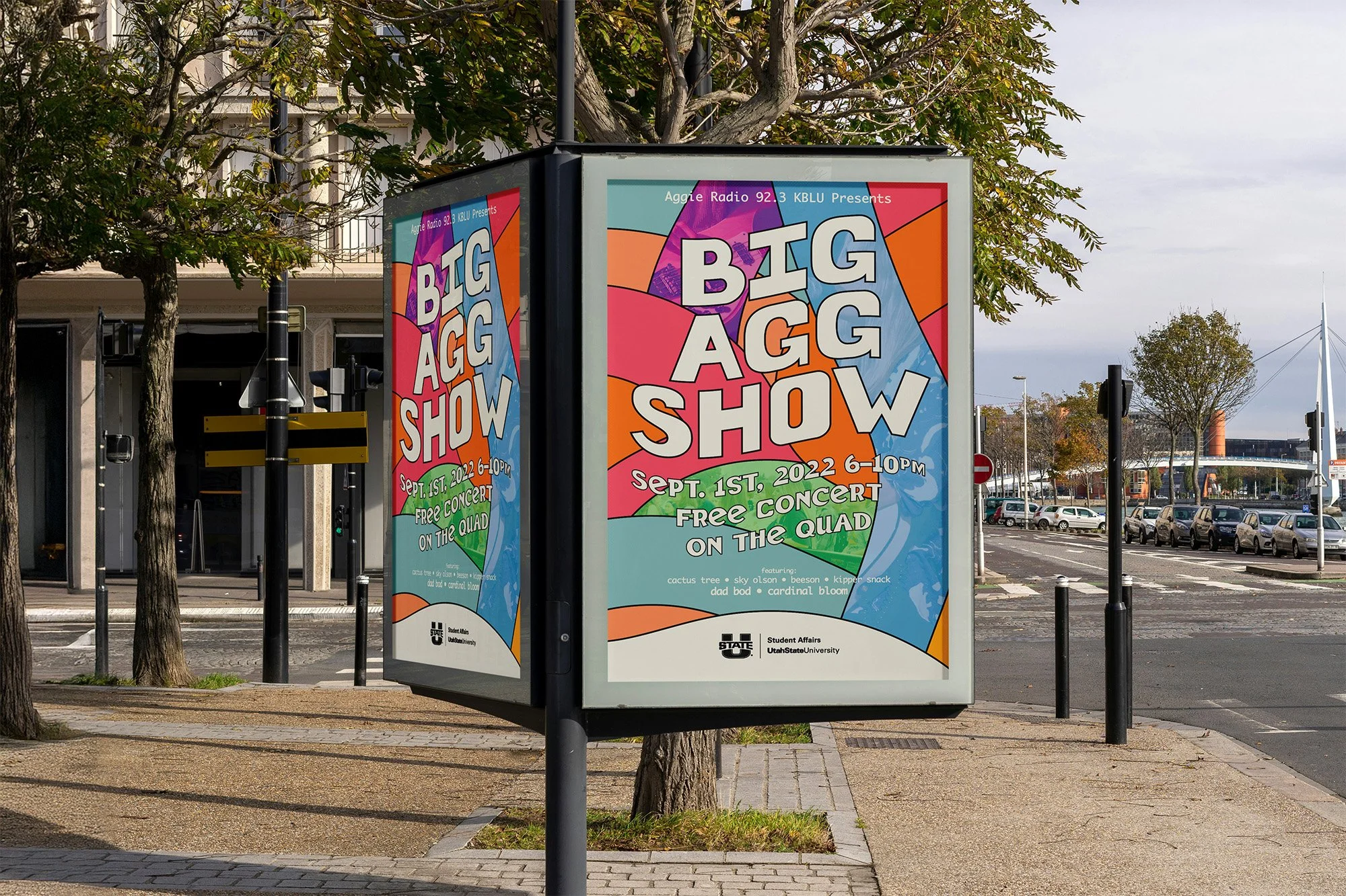 Poster for the Big Agg Show