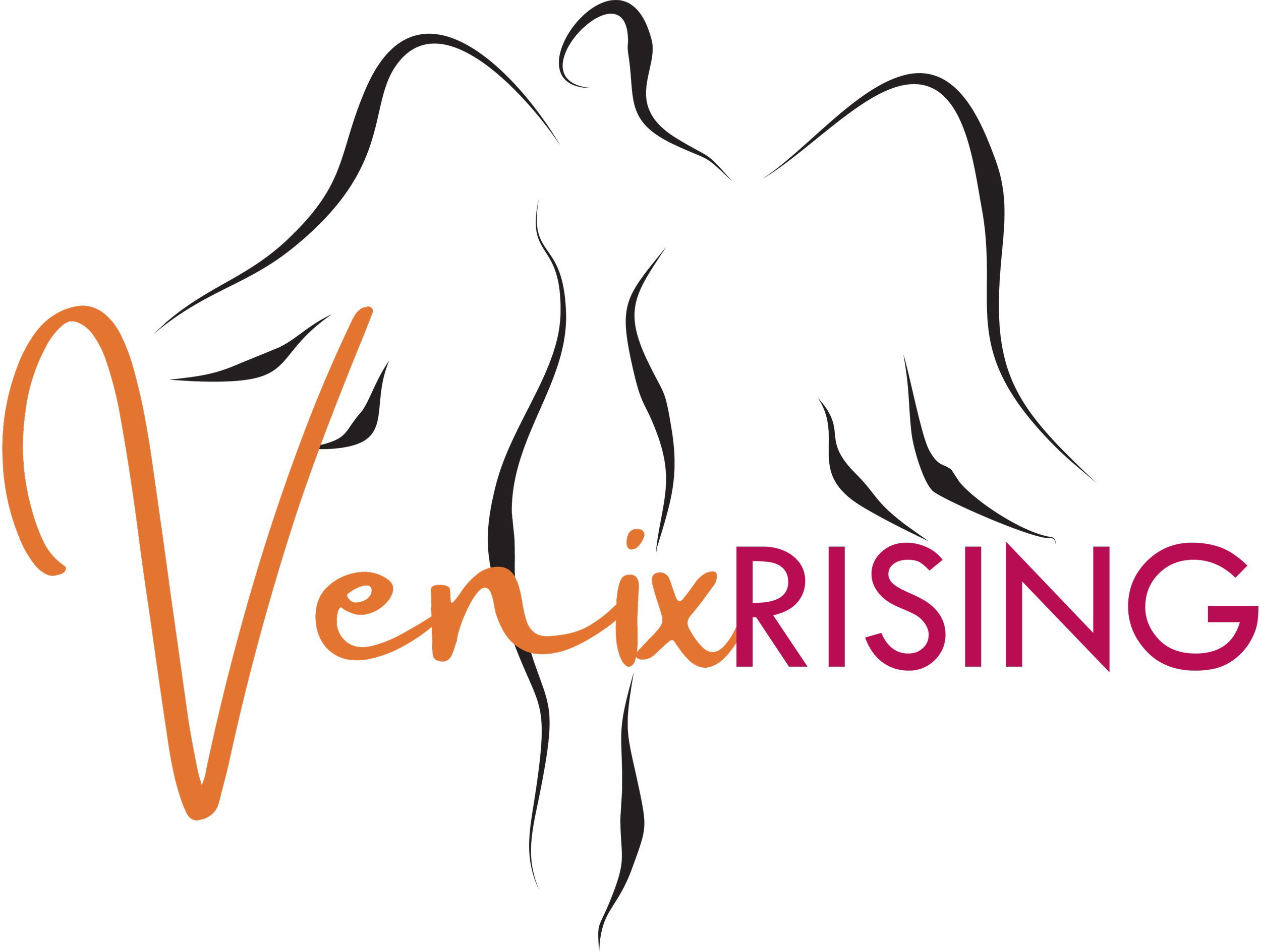 Venix Logo 2022.png