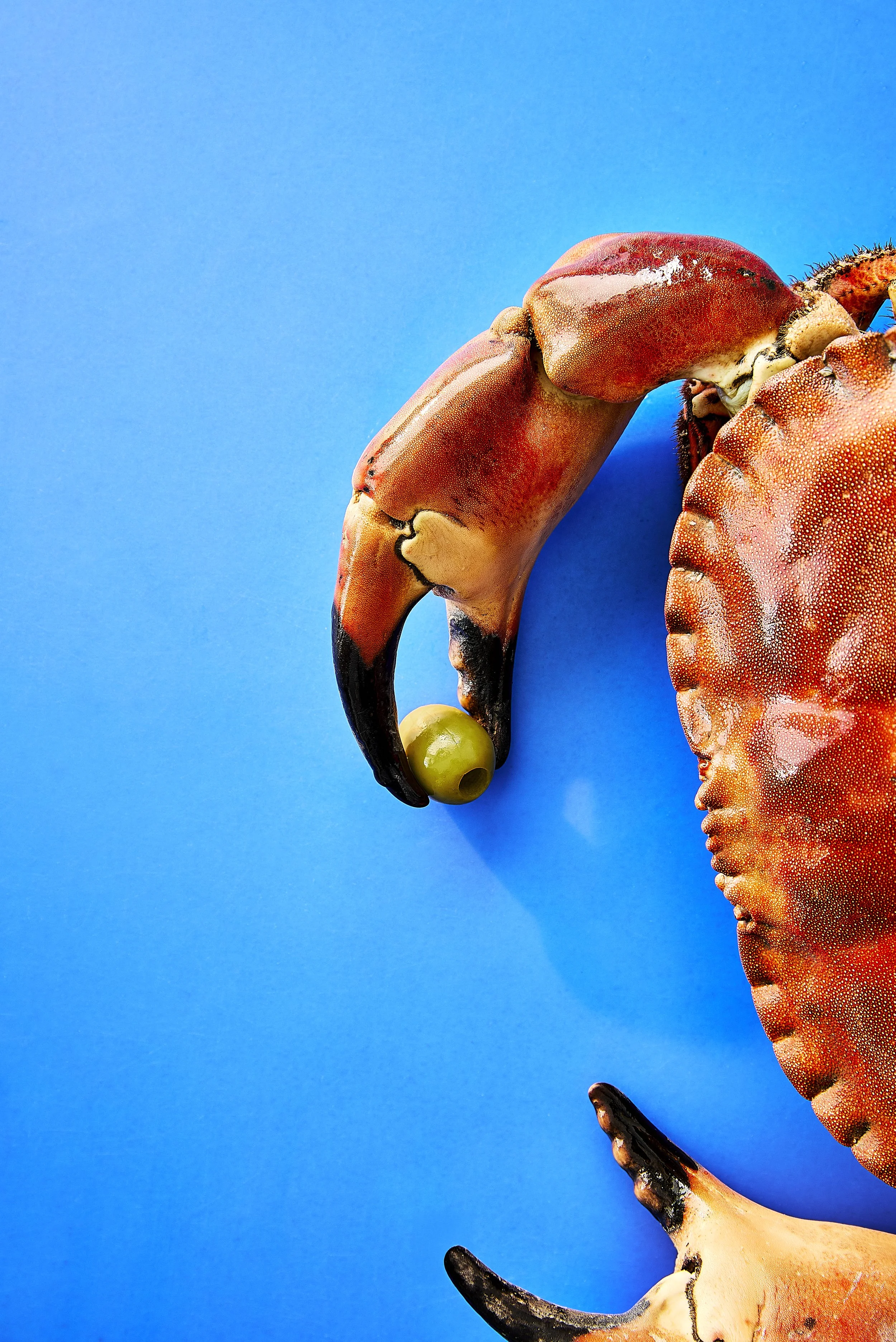 Guardian Spring_COVER_Crab V2.jpg