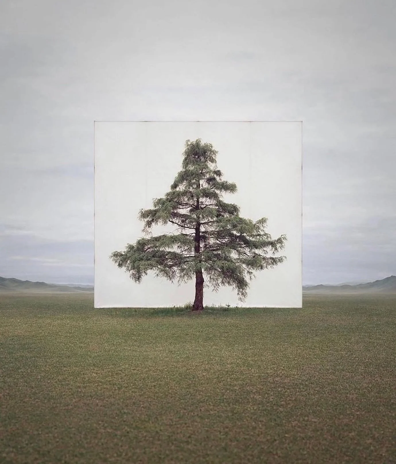 December 1st. Tree series by Myoung Ho Lee, 2006.