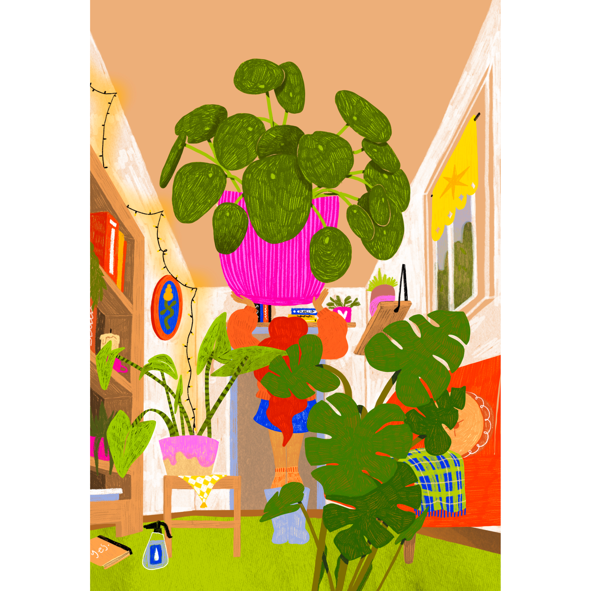 plants.png