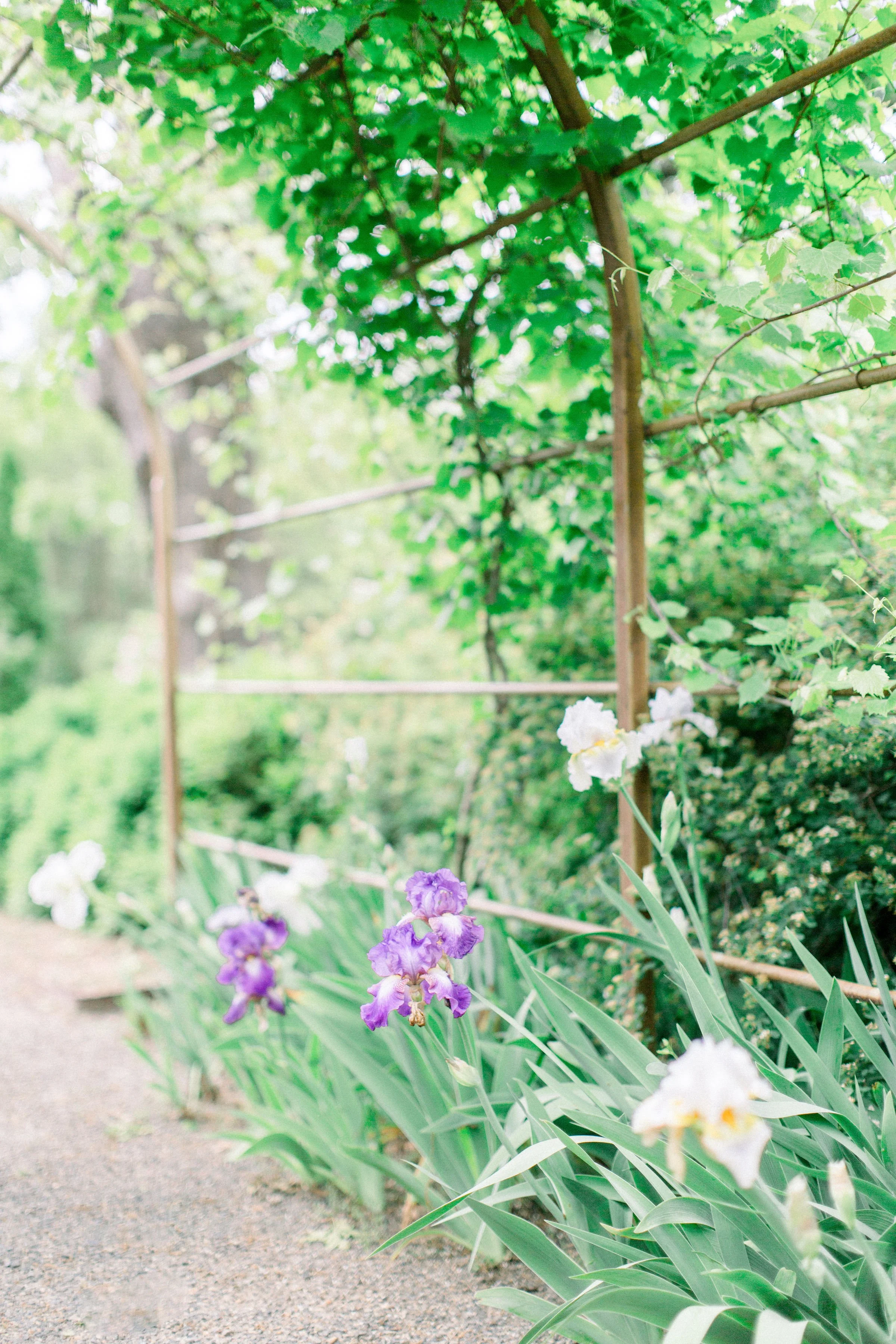 BouldinWedding-4.jpg