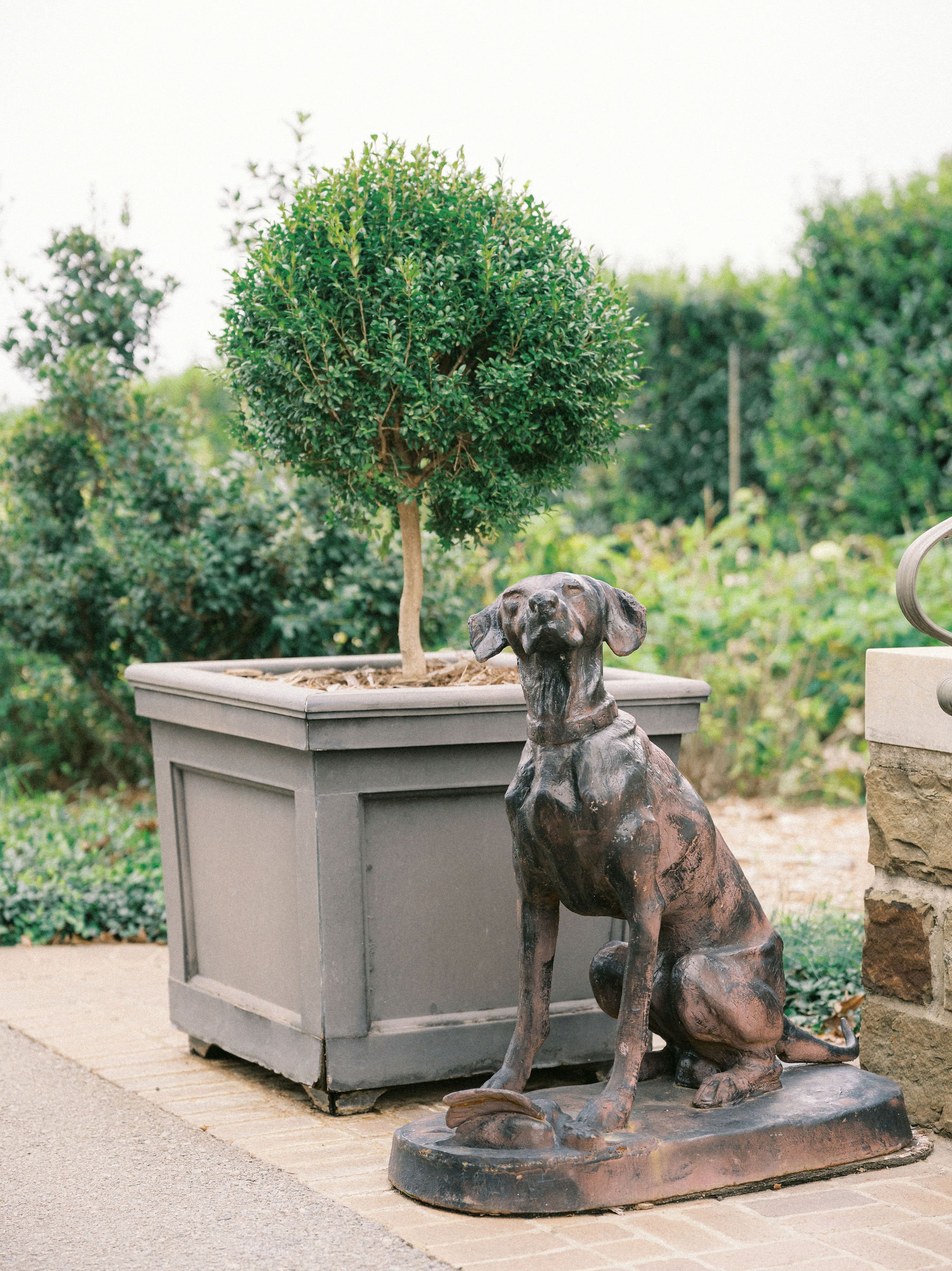 CDP06524.jpg