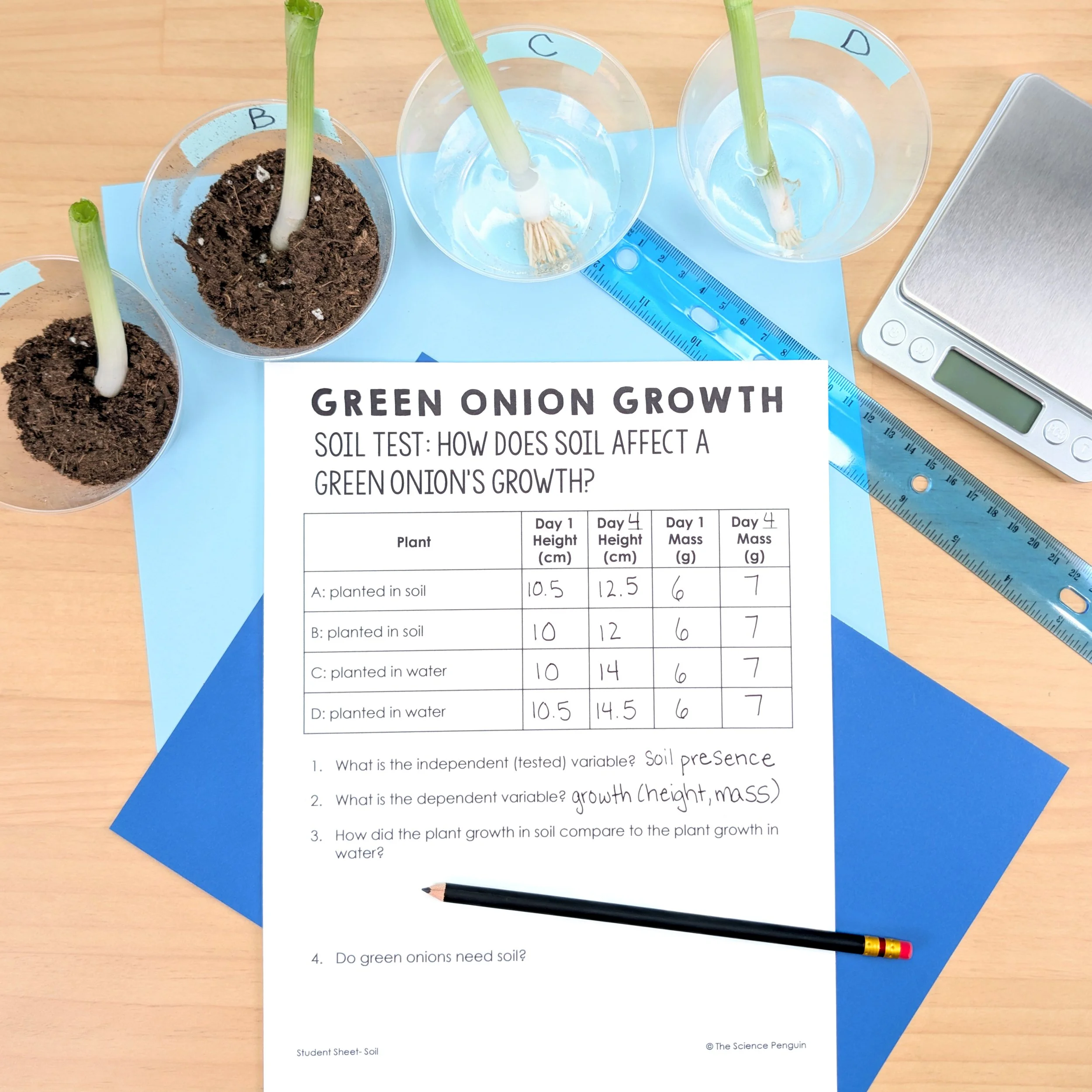 Copy of 8.2 Plants Photo.jpg