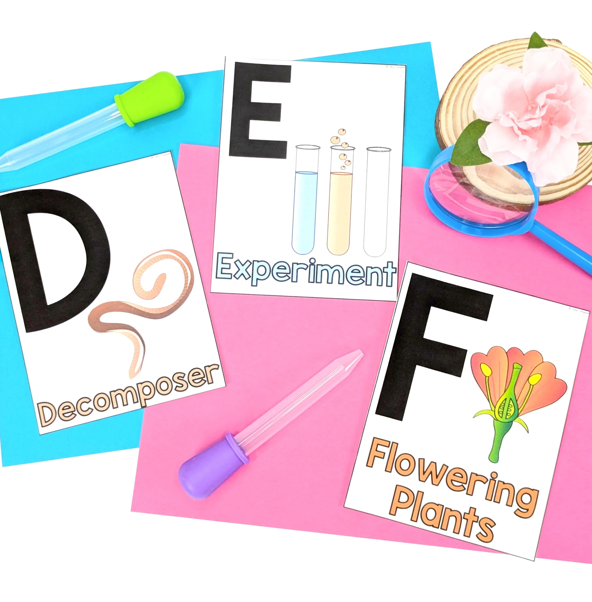 Copy of 2. square (3).jpg