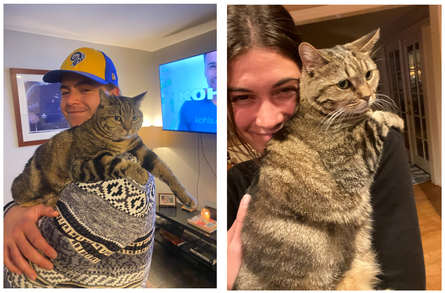 pet parenting together
