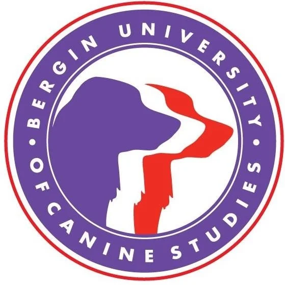 Logo of Oregon State University of Canine Studies featuring a stylized profile of a dog's head and a winding path, with purple, red, and white colors.