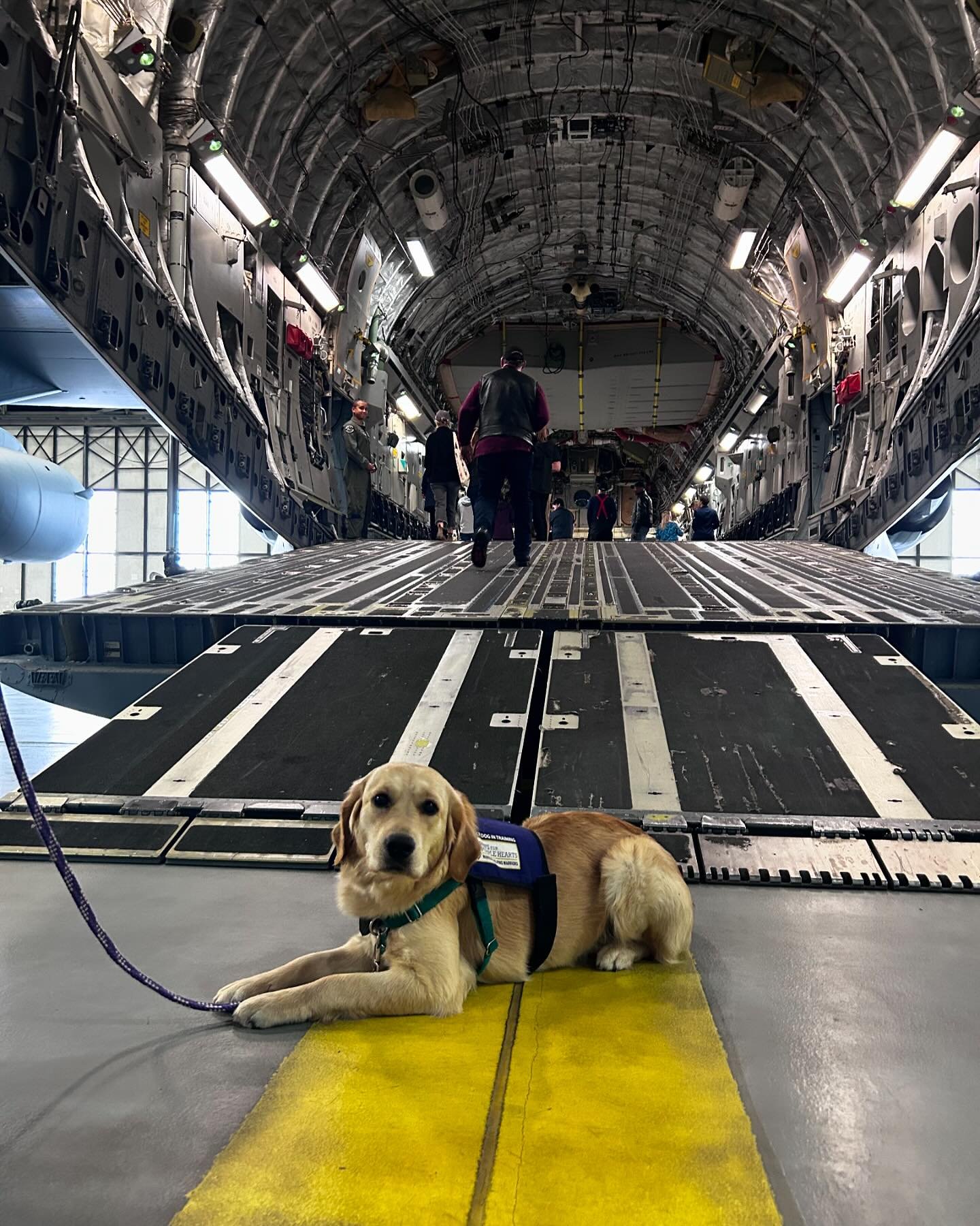 We love supporting #JBLM! This past week, #pphOlivia got enjoy touring various sites at Joint Base Lewis McChord. While there, she got to see a C17 up close, make plenty of friends, and meet the flight crew! We want to thank the @redcrossnorthwest fo