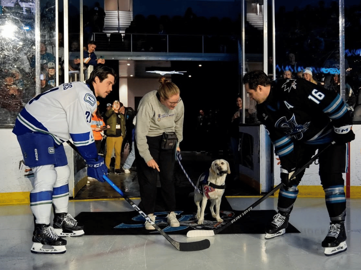 Some “Pup”-dates from our Sites!