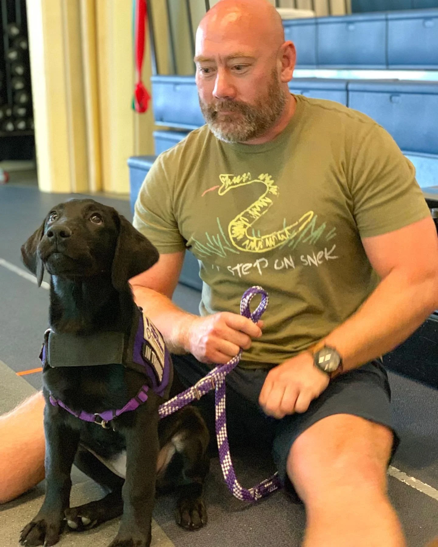 A man sitting on the floor next to a black Labrador puppy wearing a purple harness and leash, in a gym with blue bleachers in the background.