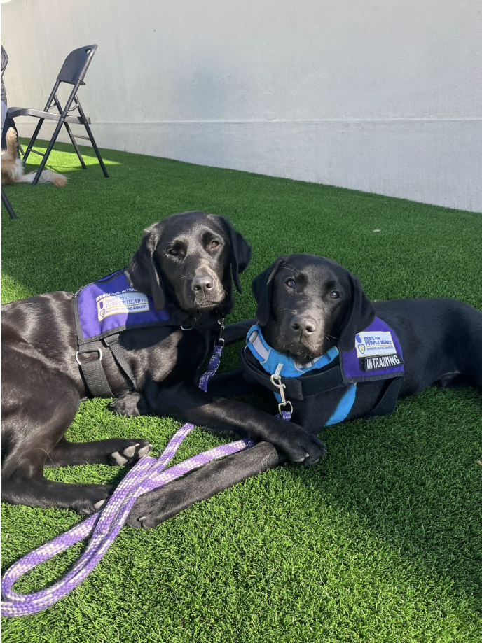 Screenshot 2026-02-24 at 11.01.15 AM.png