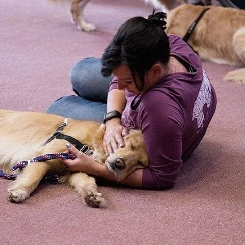 A person lying on the floor with a golden retriever puppy, gently petting and cuddling it.
