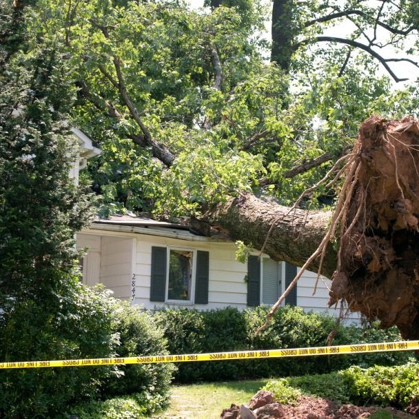tree-fallen-on-house-insurance-claim.jpg