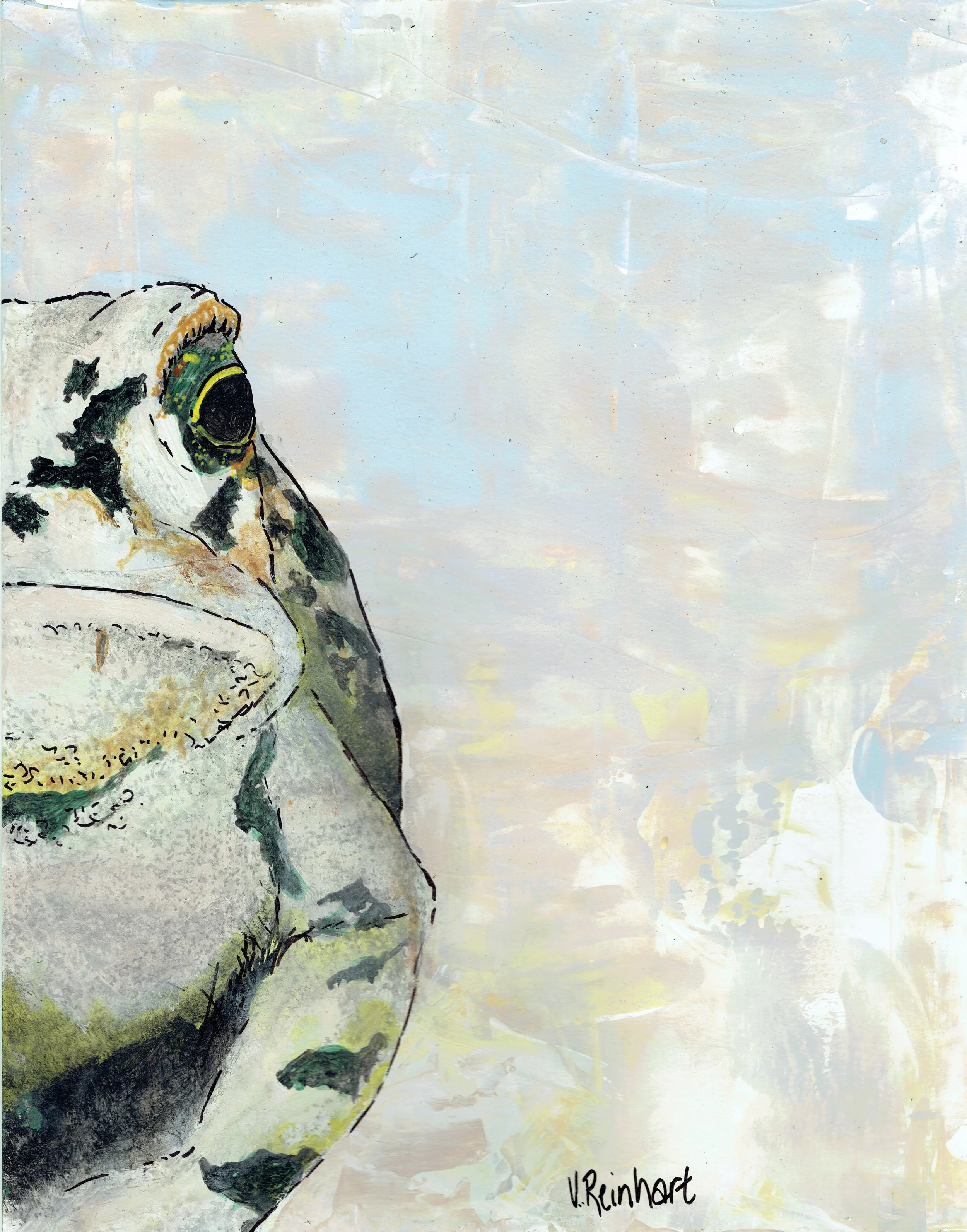 mr tank the texas toad(1).jpeg