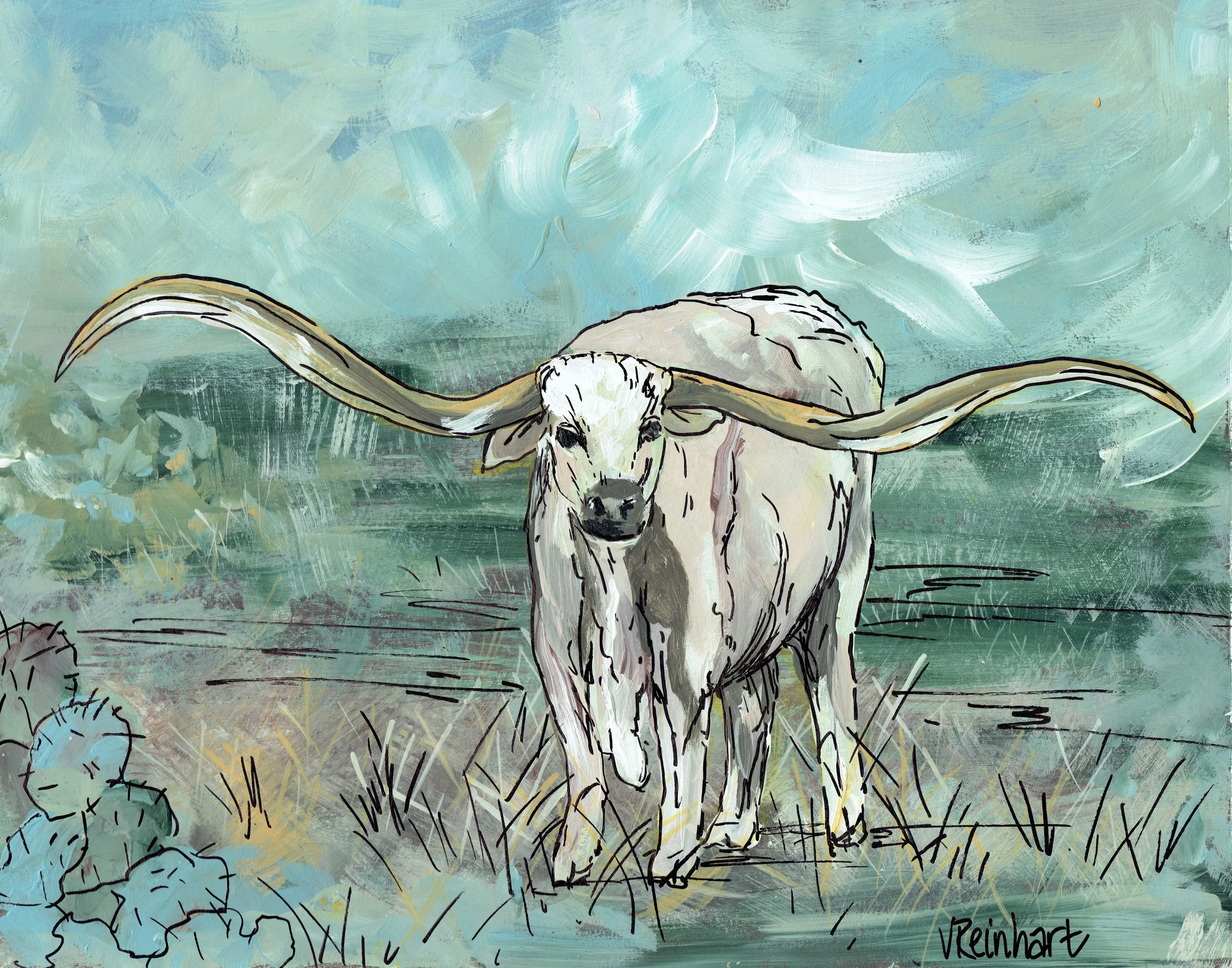 boerne longhorn.jpeg