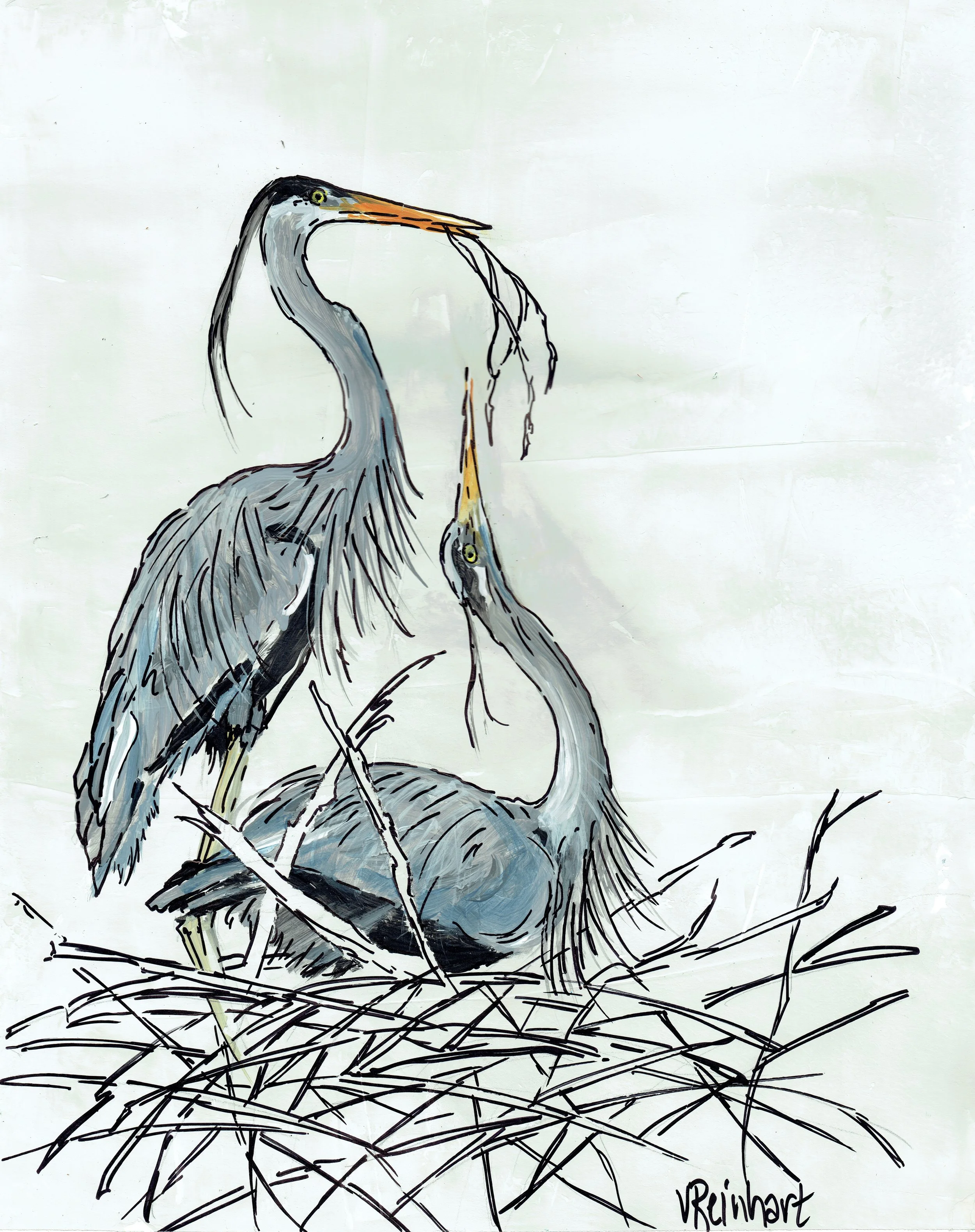 great blue herons.jpeg
