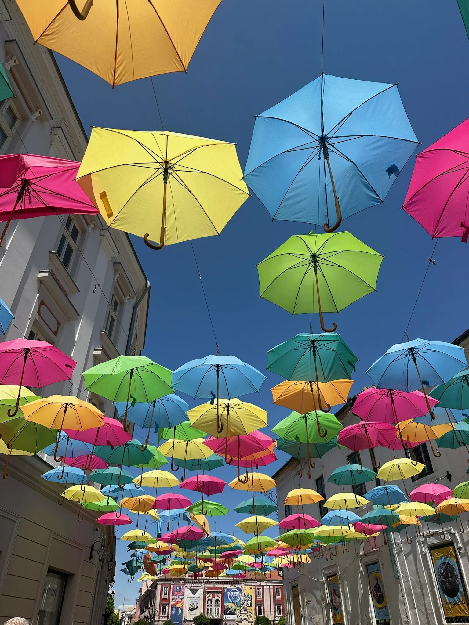 timisoara-umbrellas.jpeg