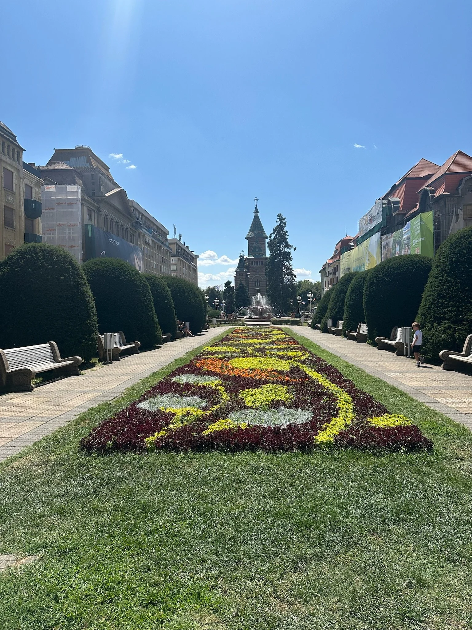 timisoara_centre_flowers.jpeg