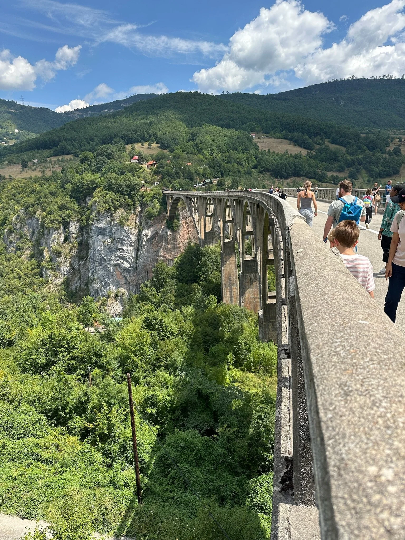 tara_bridge_montenegro.jpeg