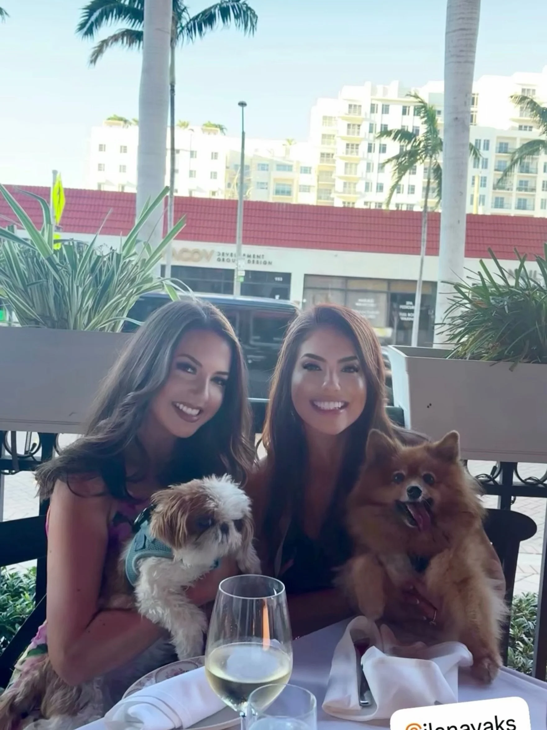 When the friendship is so good, even the pups are in on it 🐶🐶 

@debidiablona and @ilanavaks met at Les Femmes and built a beautiful friendship 💅 

😍😍😍