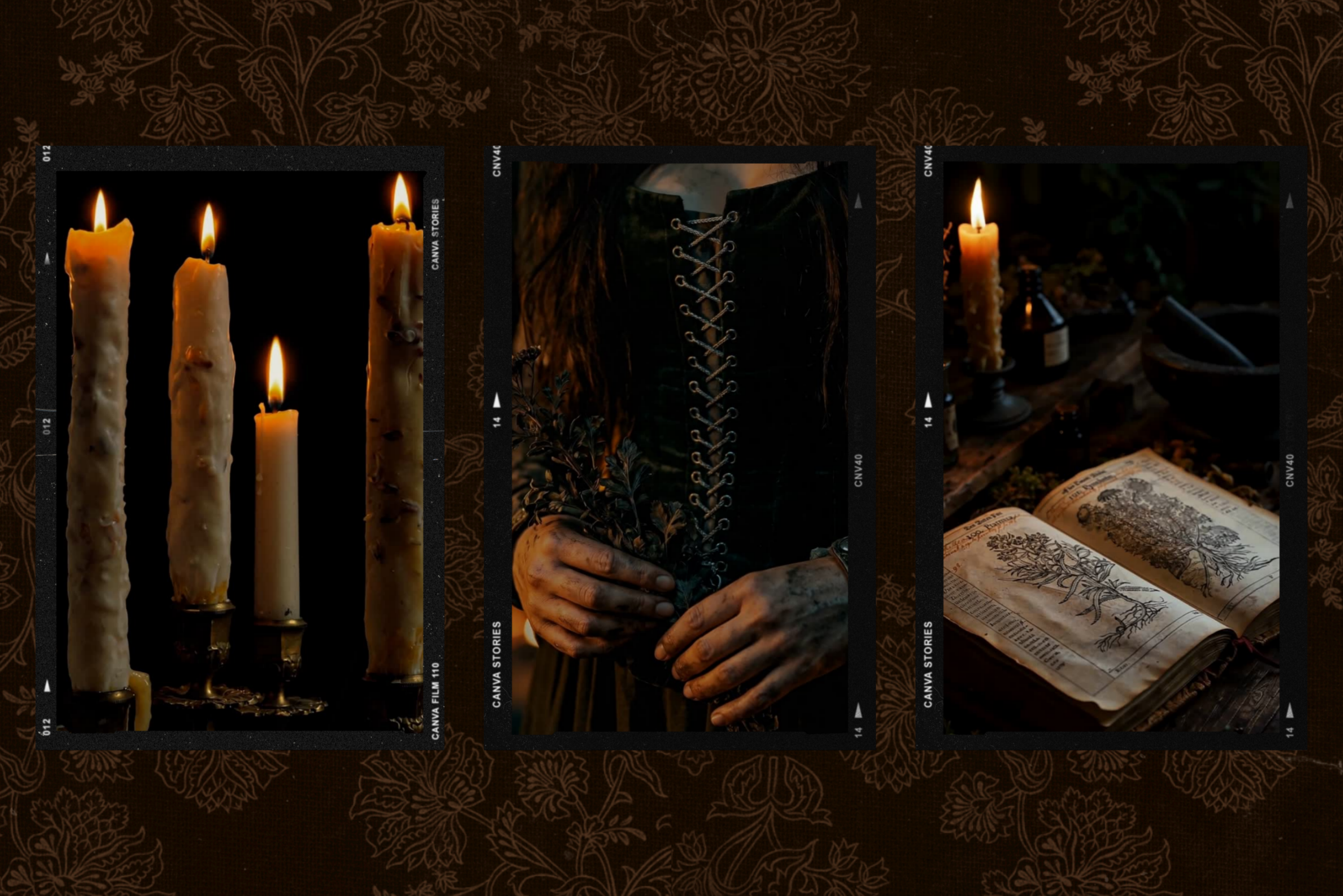 Darkwood Video Collection 11