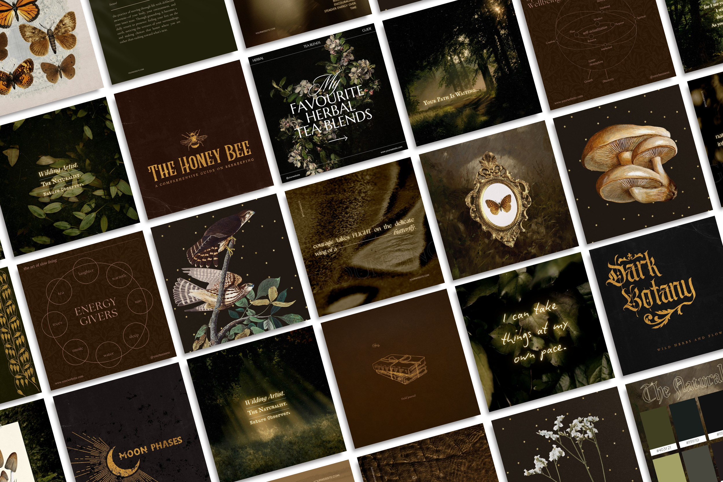 The Naturalist Canva Social Media Bundle 20