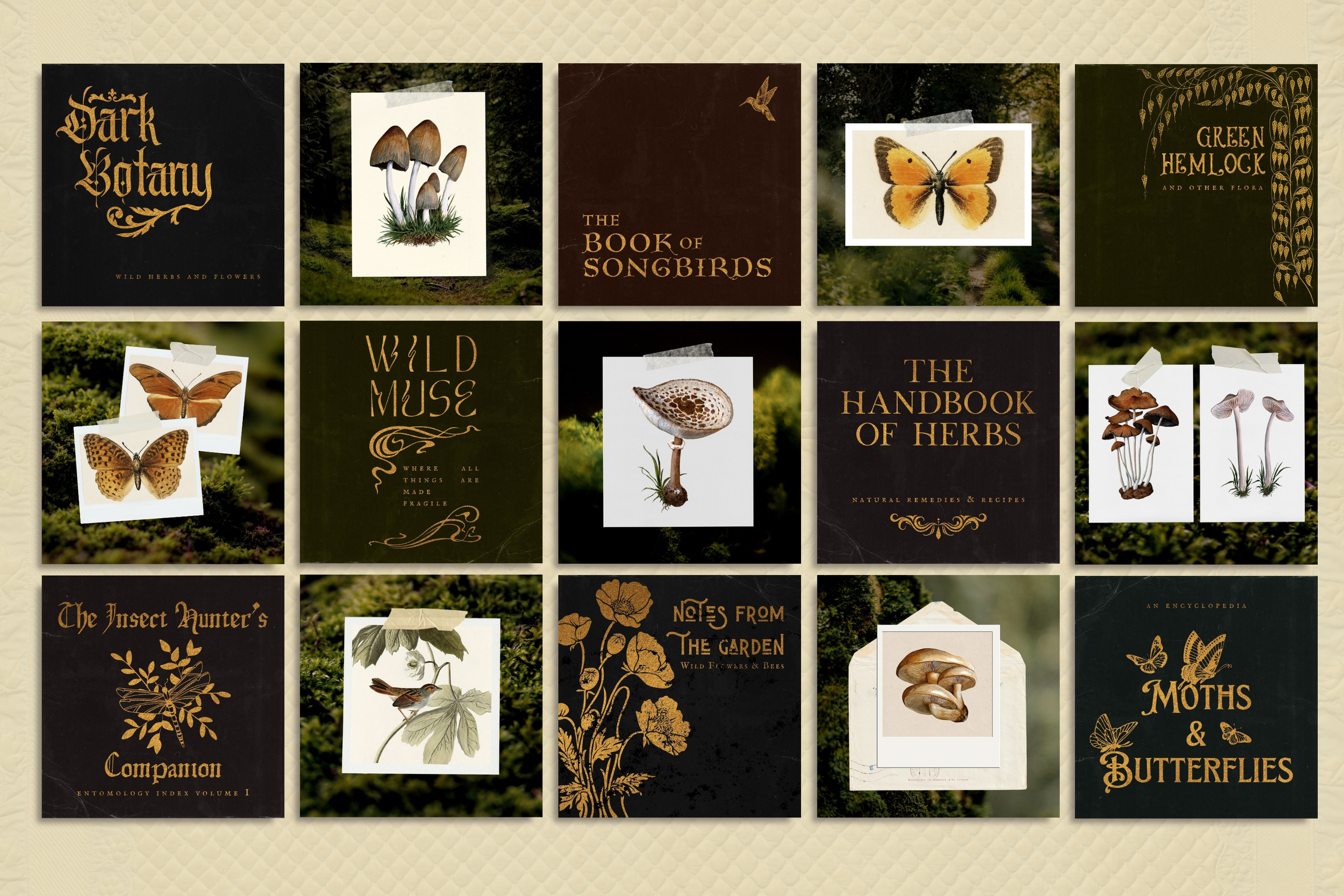 The Naturalist Canva Social Media Bundle 5