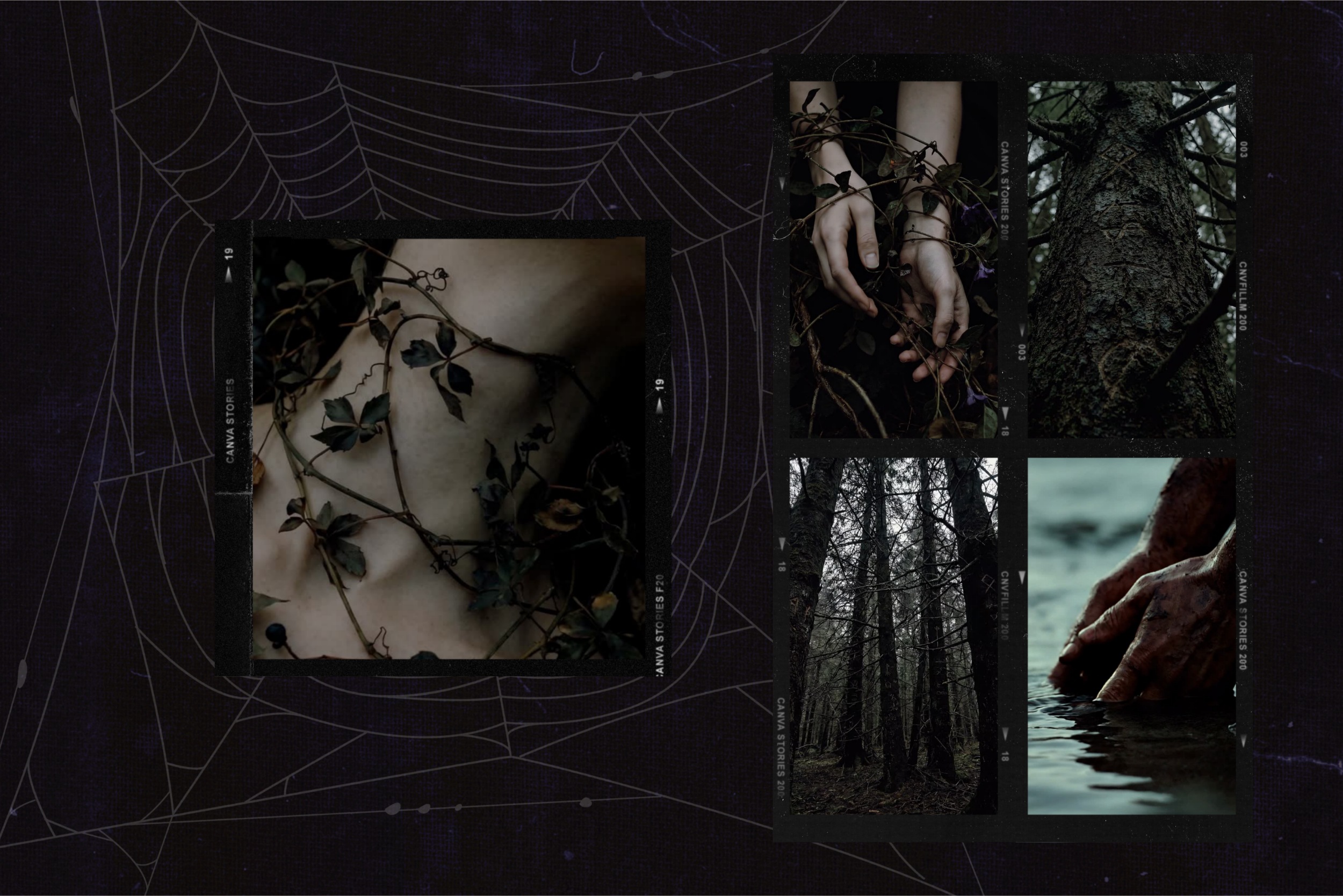Darkwood Video Collection 14