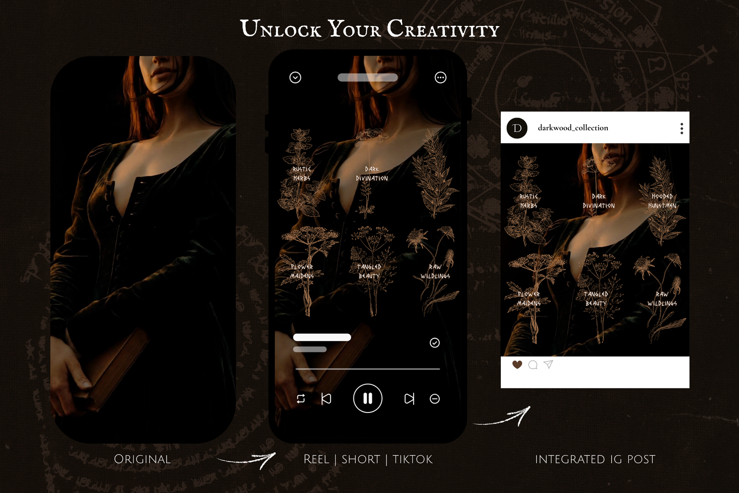 Darkwood Video Collection 10