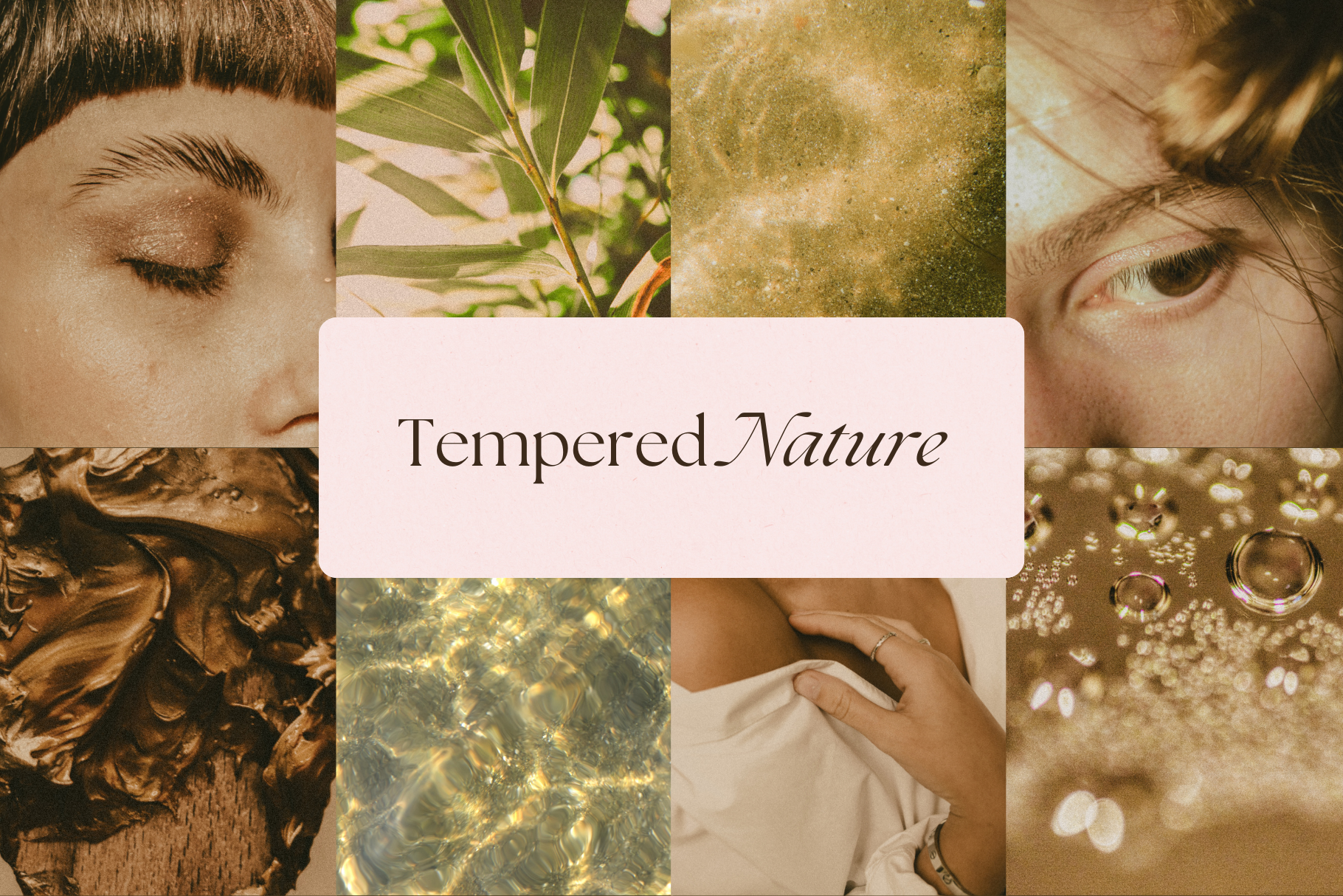 Celestial Gold Stock Photo Bundle 6