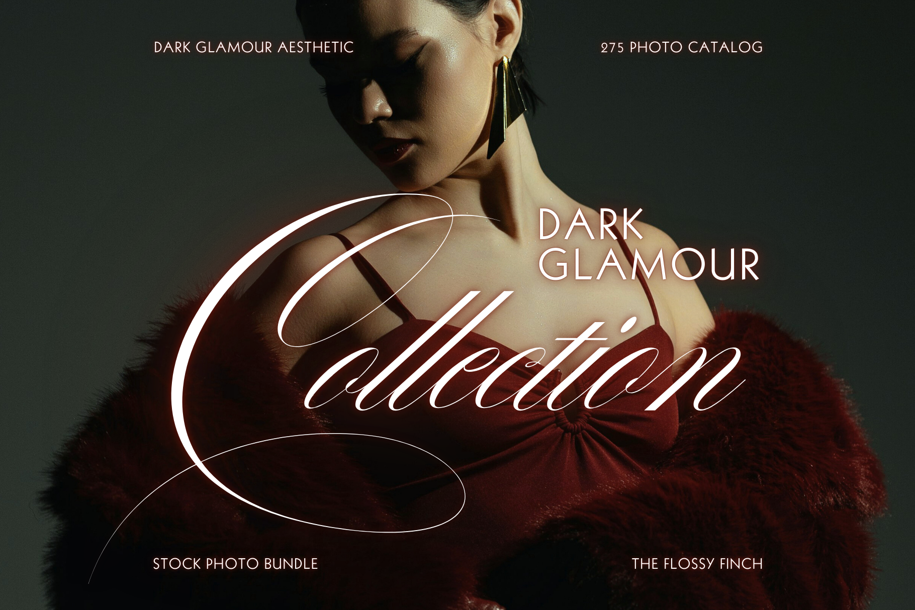 Dark Glamour Stock Photo Bundle 11