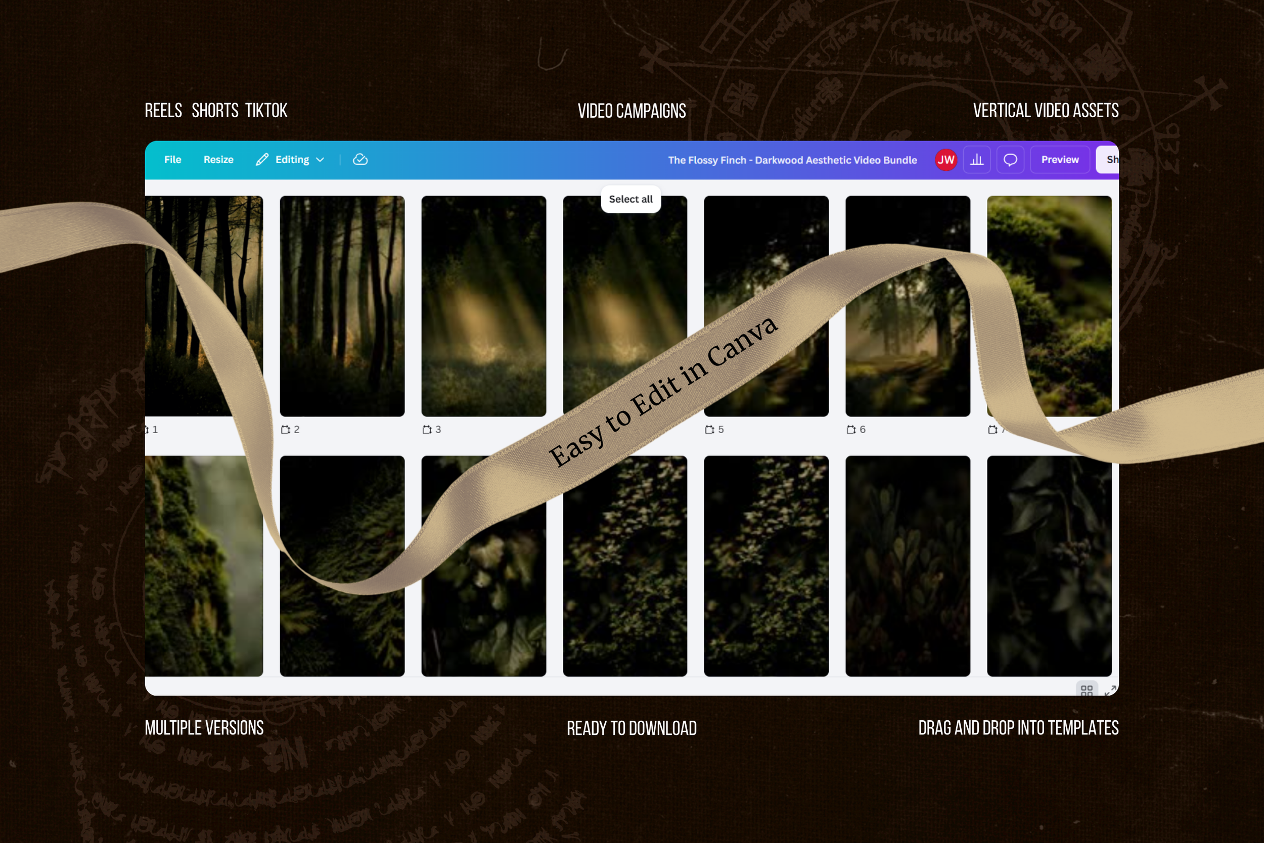 Darkwood Video Collection 24