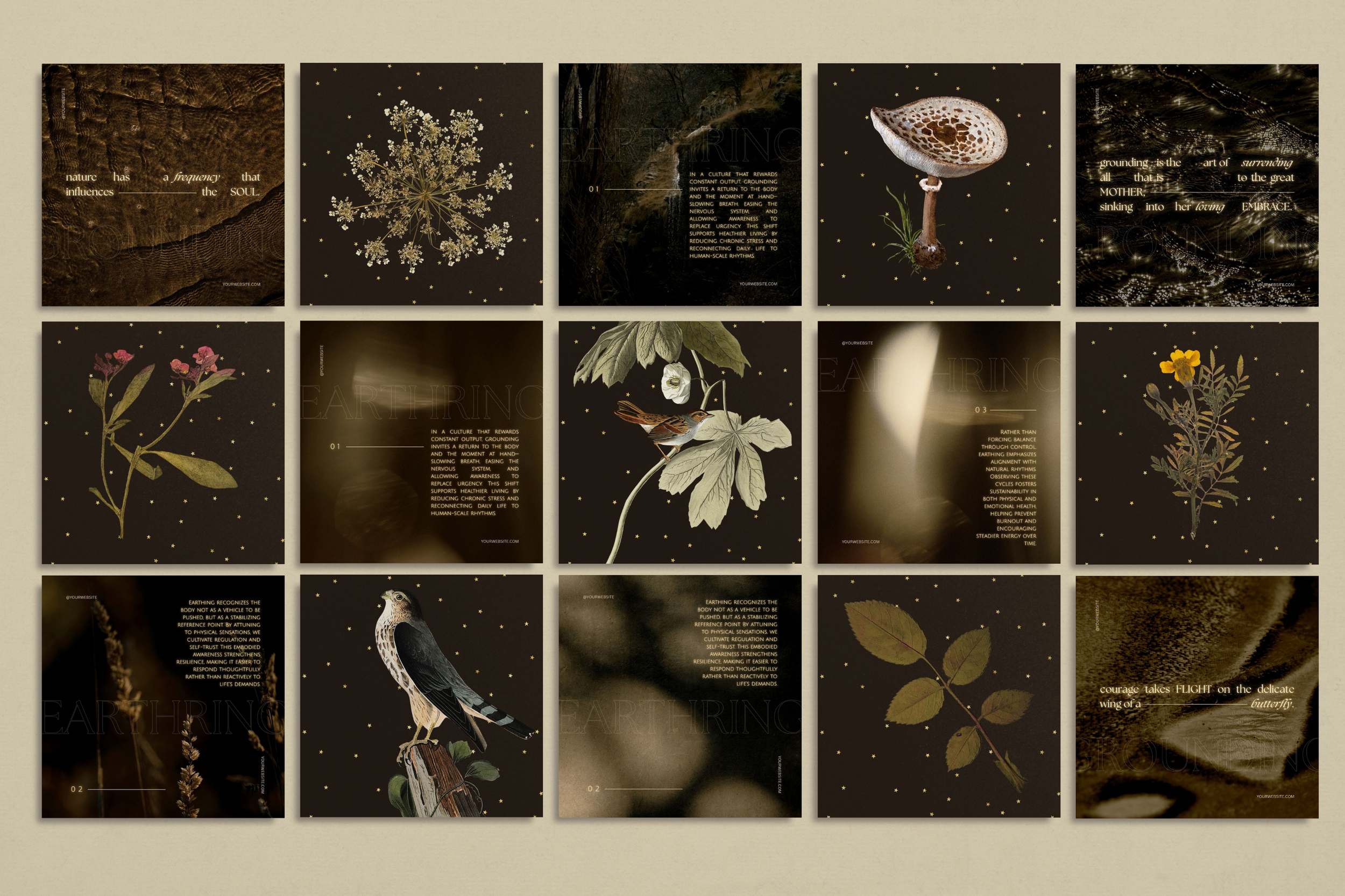 The Naturalist Canva Social Media Bundle 6